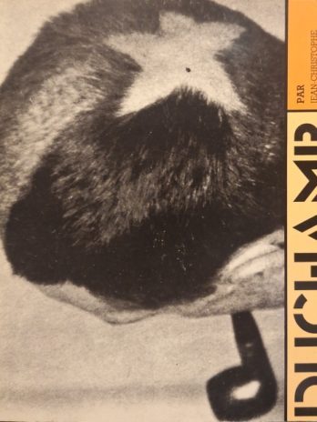 Jean-Christophe Bailly – Marcel Duchamp